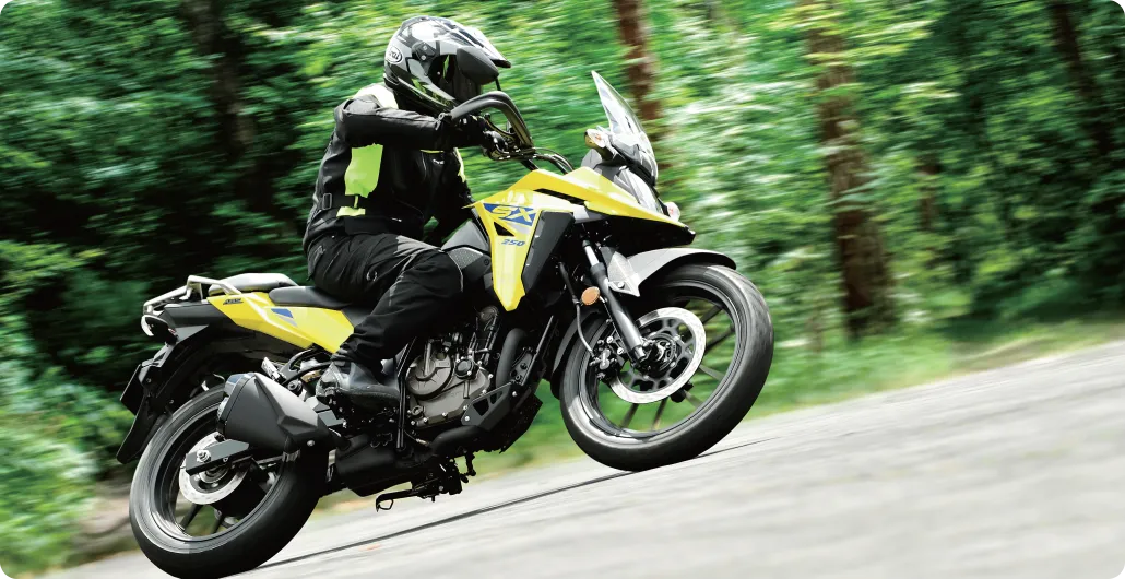 VStrom 250 SX